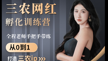 三农网红孵化实训营咨询