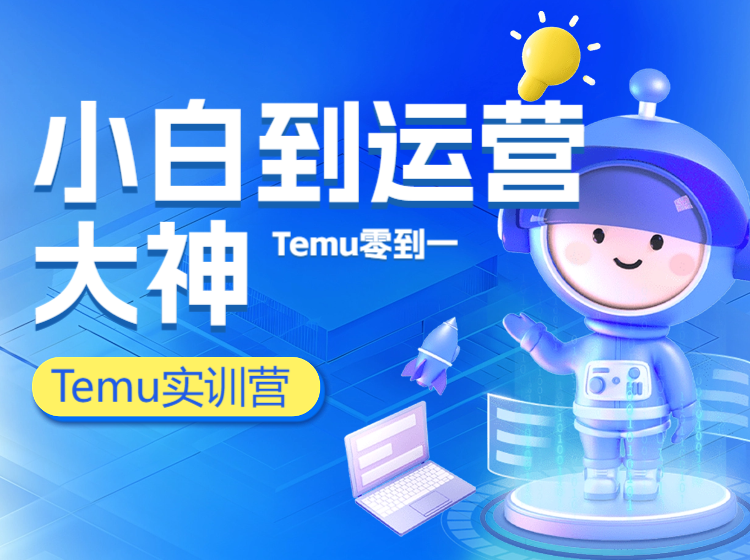 25年Temu实操冲刺训练营