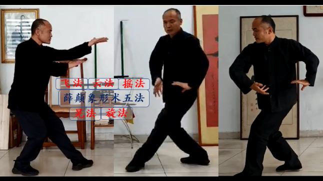 薛颠象形术五法（飞云摇晃旋）