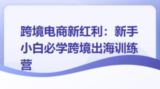 跨境电商新红利：新手小白必学跨境出海训练营