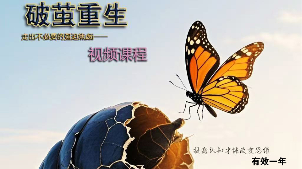 老范走出内耗经验分享视频课