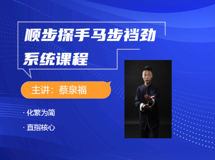 顺步探手马步裆劲系统课程