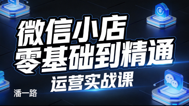 潘一路微信小店零基础到精通运营课【更新中】